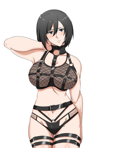 Seductive Mikasa Decal (NSFW)